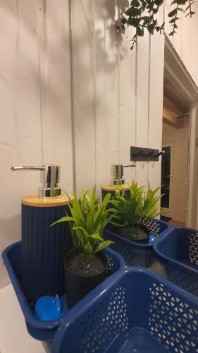 a bathroom with two plants on a blue sink at Economy rooms for 2-4 people in Anykščiai
