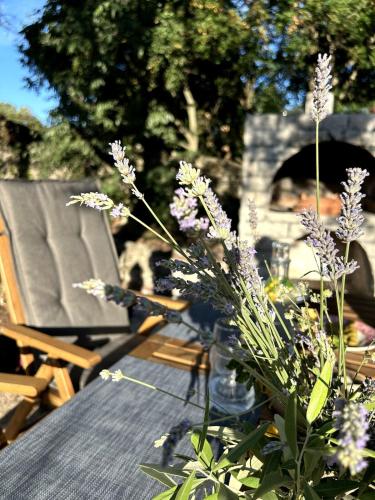 Cozy apartment with private yard