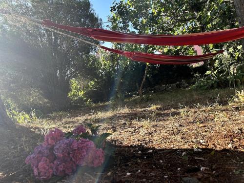 Κήπος έξω από το Cozy apartment with private yard