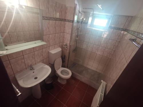 a bathroom with a toilet and a sink and a shower at For Fun resort naturist libertin - adults only in Costinesti