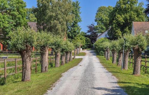 a dirt road lined with trees on either side at Beautiful Home In Flyinge in Flyinge