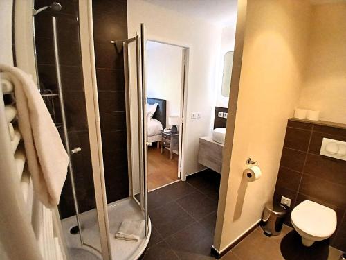un bagno con doccia e WC di Villa spacieuse à Crozes-Hermitage avec piscine privée a Crozes-Hermitage