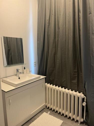 a bathroom with a sink and a shower curtain at Albergue Bosquet in Brussels