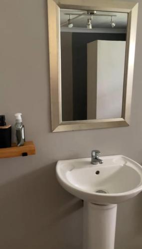 a bathroom with a white sink and a mirror at The Pastures Eston Farm Stay in Mid Illovo