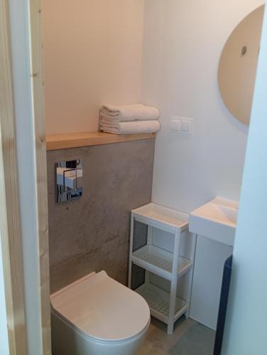 een badkamer met een wit toilet en een wastafel bij Dom Hermana in Mrzeżyno