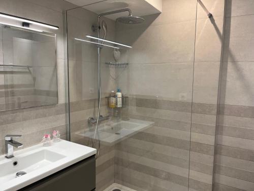 une salle de bain avec un lavabo et une douche en verre dans l'établissement Très beau 3 pièces spacieux lumineux et climatisé, à Nice