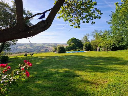 a field of grass with a tree and flowers at La Basserie in Laguépie