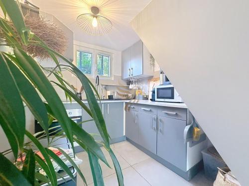 une cuisine avec des armoires bleues et une plante dans l'établissement House La Palmeraie 4p-Garden-wifi-park-jacuzzi, à Biot