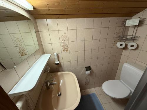 Un baño de Pension Rainer