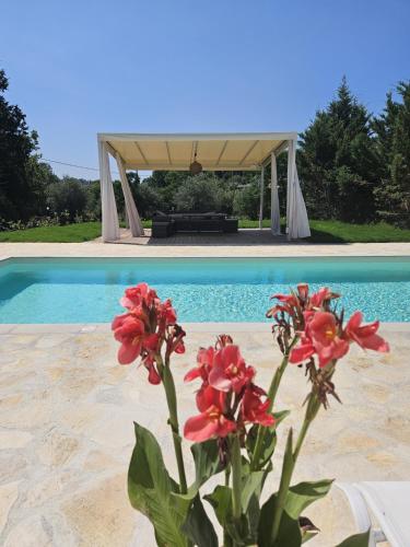 Foto Sundial Houses - Pool & Garden