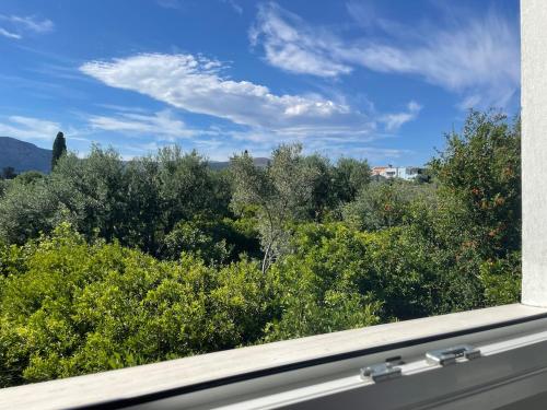 a window with a view of trees and bushes at Kouneli's House with Garden in Chios