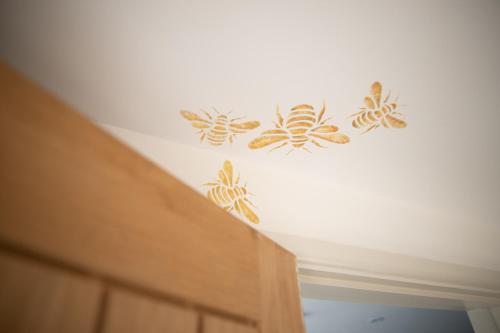 a wall with drawings of bugs on the ceiling at Talland Bay Hotel, Looe in Talland