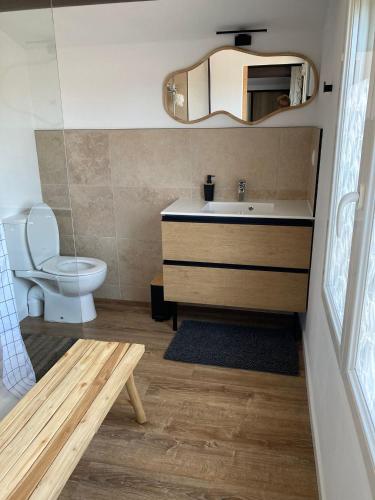 une salle de bain avec un lavabo, des toilettes et un miroir dans l'établissement Les Elles du Moulin Avec Piscine, à Vedène
