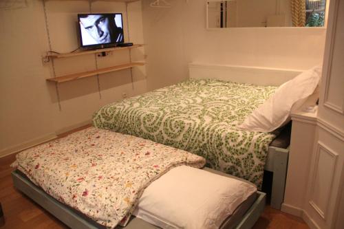 a bedroom with two beds and a tv in it at La Suite Presqu'Ile in Lyon