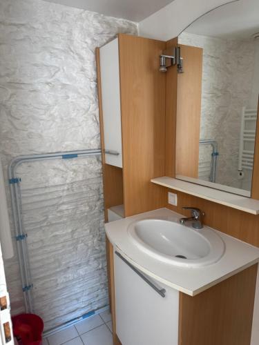 une salle de bain avec un lavabo et une douche dans l'établissement Studio centre historique, à Vannes