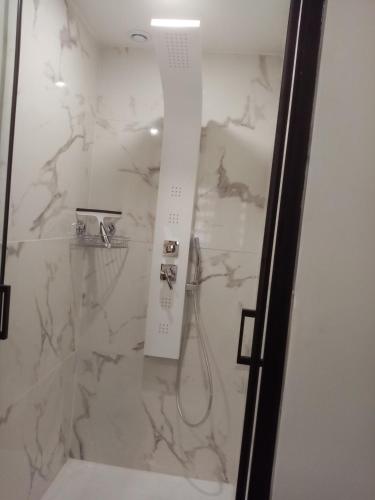 La salle de bains est pourvue d'une douche et d'un mur en marbre blanc. dans l'établissement Studio moulin se la paille, à Veyre-Monton
