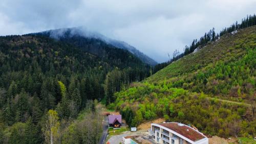 Příroda nedaleko apartmánu