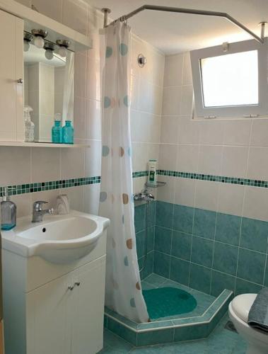 a bathroom with a shower with a sink and a toilet at La mer in Moúdhros