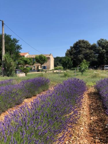 Gallery image of mas de costebelle in Bollène