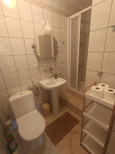a white bathroom with a toilet and a sink at Apartament I in Rowy