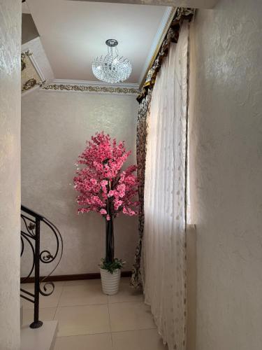 a pink tree in a hallway with a window at Гостиница Асем-Ай in Taraz