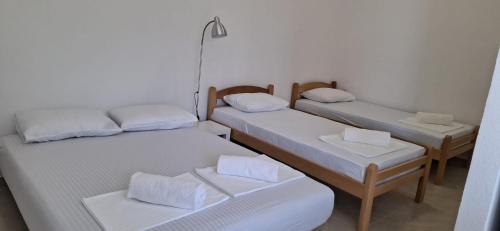 Gallery image of Apartmani Aleksandar Rudinac Čanj in Čanj