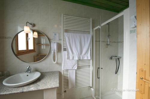 a bathroom with a sink and a shower with a mirror at Les ateliers du mont Bar in Allègre