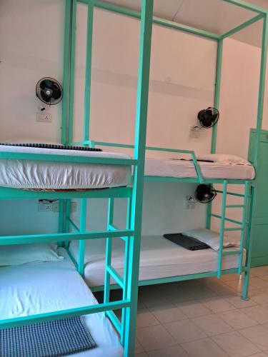 Molly's Hostel客房内的一张或多张床位