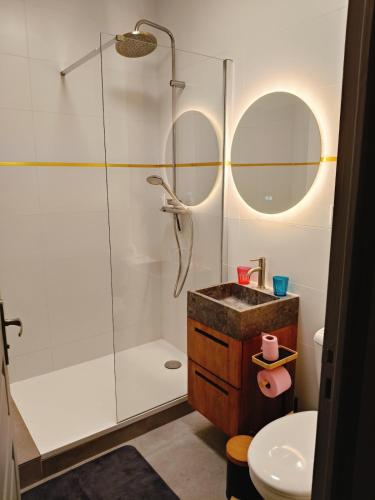 une salle de bain avec douche et lavabo dans l'établissement Marennes - Duplex cœur de village, à Marennes