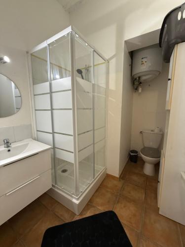 une salle de bain avec une douche en verre et des toilettes dans l'établissement Le studio des carmes, à Nîmes