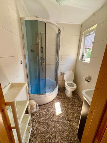 a bathroom with a shower and a toilet at Anida Rusinowo in Rusinowo