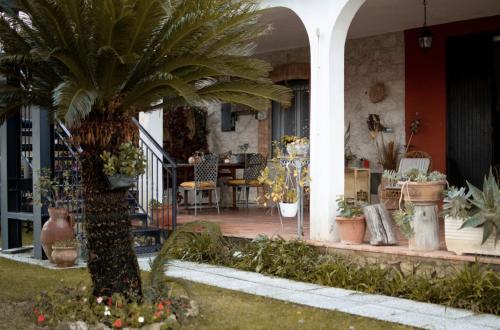 a house with a palm tree in the front yard at The Oaks in Spigno Saturnia