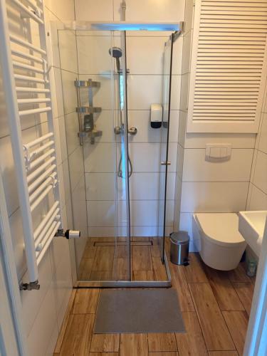 Et badeværelse på WIDOKOWY 9 dwupoziomowy SAUNA JACUZZI