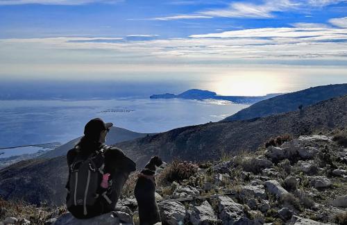 a person sitting on top of a mountain with a dog at The Oaks in Spigno Saturnia
