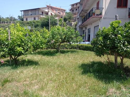 two trees in the grass next to a building at VillaTresa in CastellʼUmberto