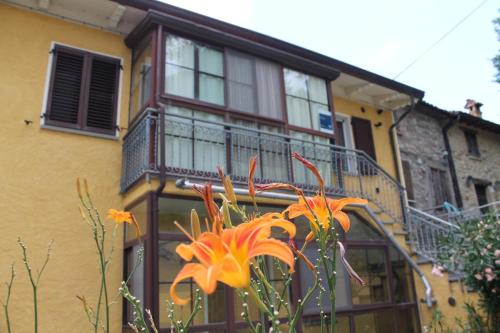 a large orange flower in front of a building at B&B Leonda in San Donato