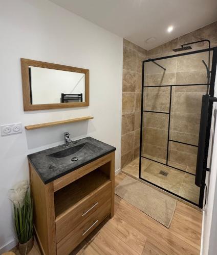 a bathroom with a sink and a shower at La grange du bien-être in Liausson