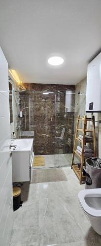 a bathroom with a shower and a sink and a toilet at Studio apartmani Anika in Vrdnik