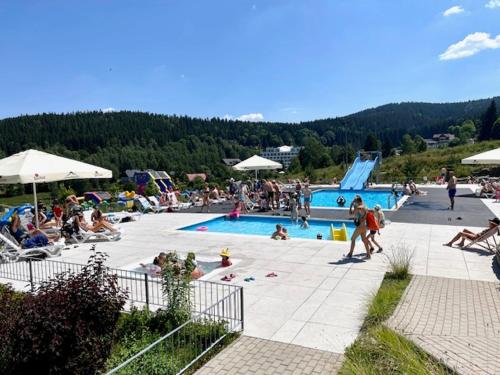 a group of people in a swimming pool at SW Apartamenty Czarna Góra in Sienna