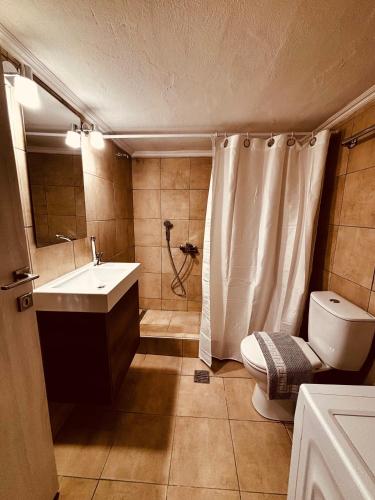 a bathroom with a shower and a toilet and a sink at Blue two apartment in Kavála