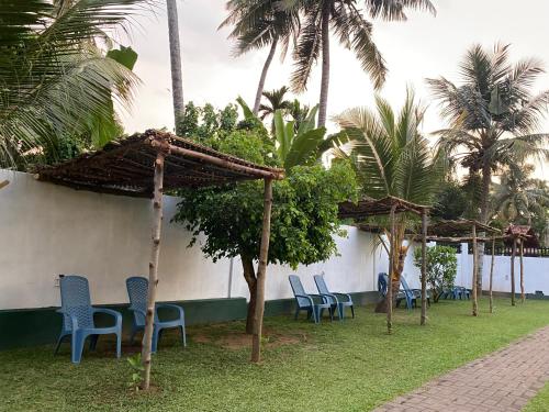 a group of chairs and umbrellas in a yard with palm trees at Curly Hostel Negombo in Negombo