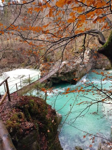 Photo de la galerie de l'établissement Apartma Marija, Kal-Koritnica, à Bovec