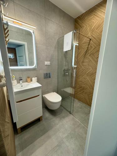 a bathroom with a toilet and a sink and a shower at Błękitne Wierchy in Murzasichle