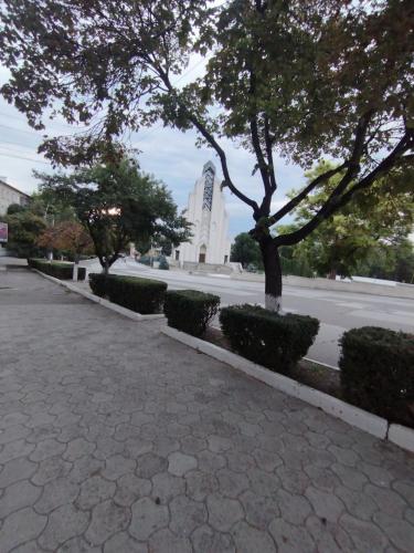a street with trees and a building in the background at Balti Apartment in Bălţi