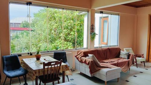 una sala de estar con un sofá y una mesa en Amirans guest house, en Kobuleti