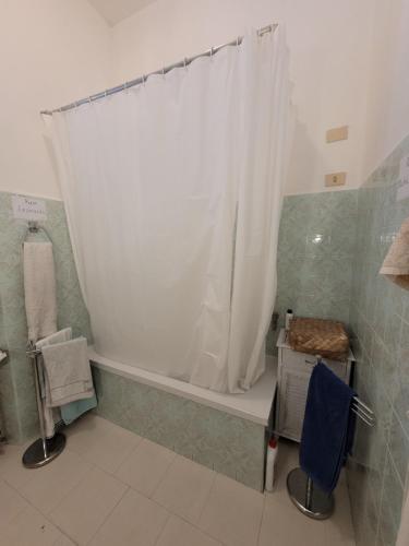 a bathroom with a shower curtain and a tub at Ampia camera vicina al centro in Florence