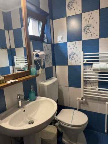 a bathroom with a sink and a toilet at Casa Adelmar in Tulcea