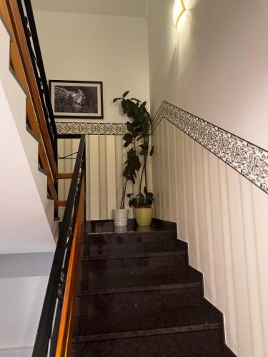 a stairway with two potted plants on it at Apartment A&A in Niederdorf