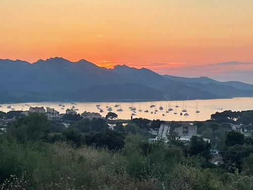 a group of boats in the water at sunset at SAINT FLORENT studio terrasse 2 à 3 personnes calme avec piscine au sel in Saint-Florent