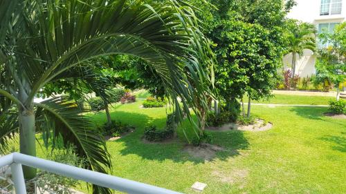 Un jardín fuera de Book House Marina Diamante